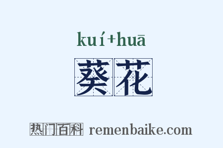葵花是什么意思的图片